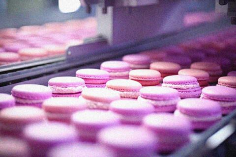 Production line of pink cream cookies.