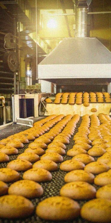 Cookies on a conveyor belt in a factory.
