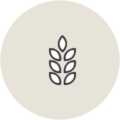 Icon graphic of wheat.