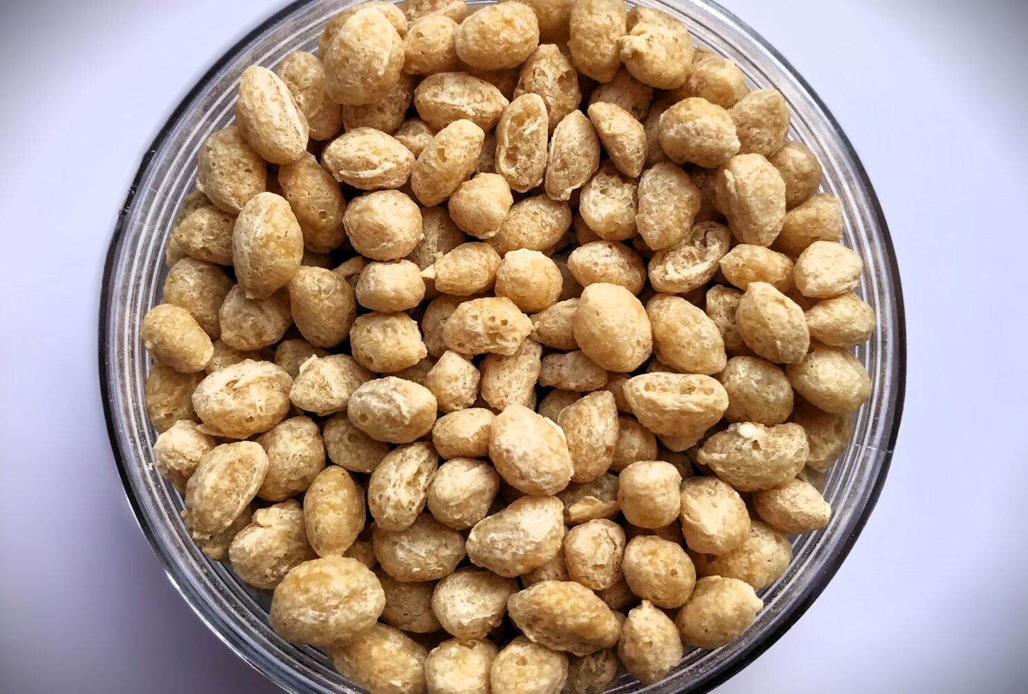 Soy Protein Crisps Plain Lehmann Ingredients