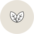 Icon graphic of leaves.
