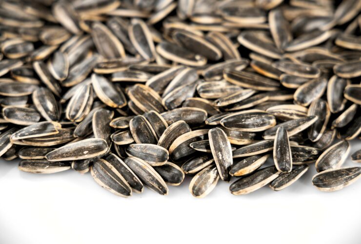 Sunflower seeds on a white table.