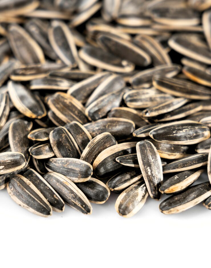 Sunflower seeds on a white table.