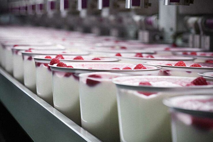 Production line of yoghurts with berry toppings.