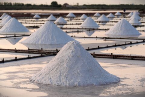 Salt farm