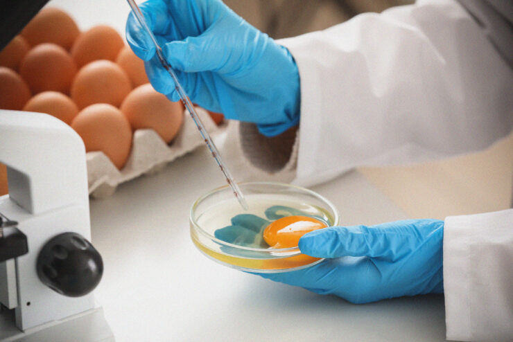 A person wearing blue gloves uses a pipette to examine an egg yolk in a petri dish beside a carton of brown eggs, with a microscope in the foreground.