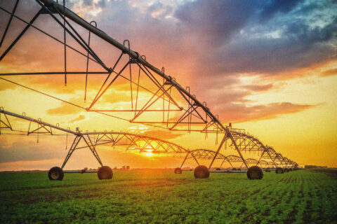 A large irrigation system stretches across a green field at sunset, with dramatic clouds and vibrant orange-yellow light filling the sky.